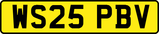 WS25PBV