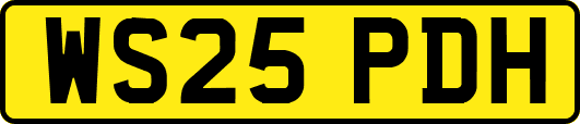 WS25PDH
