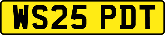 WS25PDT