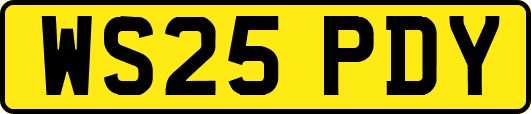 WS25PDY