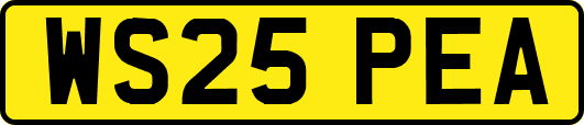 WS25PEA