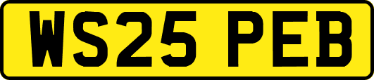 WS25PEB