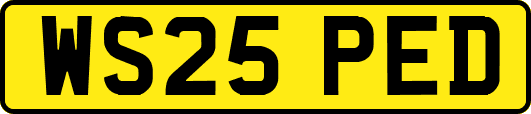 WS25PED