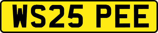 WS25PEE