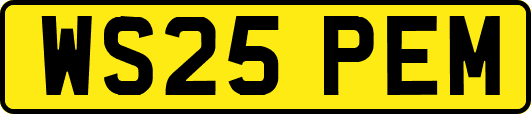 WS25PEM
