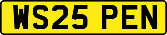 WS25PEN