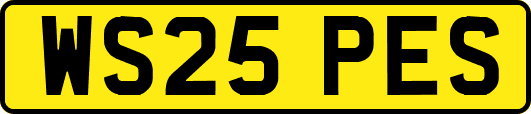 WS25PES
