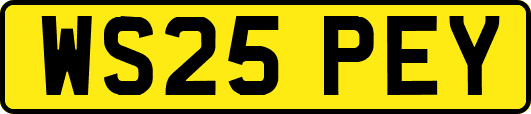 WS25PEY