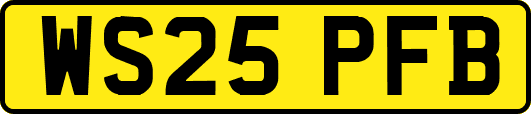 WS25PFB