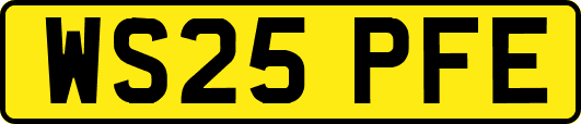 WS25PFE