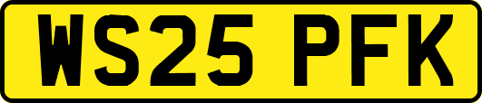 WS25PFK
