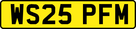 WS25PFM