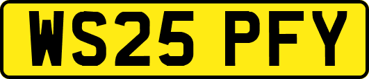 WS25PFY