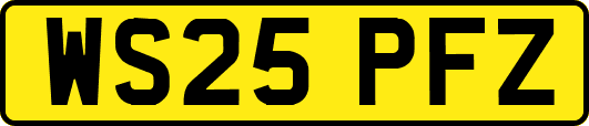 WS25PFZ