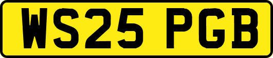 WS25PGB