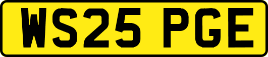 WS25PGE