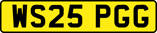WS25PGG