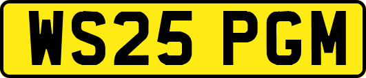 WS25PGM