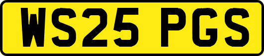 WS25PGS