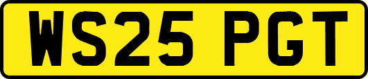 WS25PGT