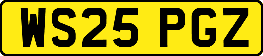 WS25PGZ