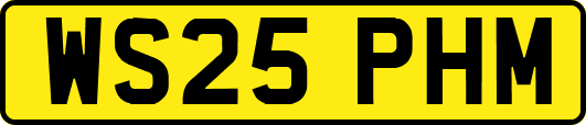 WS25PHM