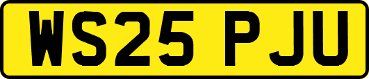 WS25PJU