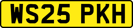WS25PKH