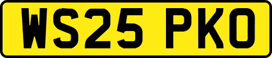 WS25PKO