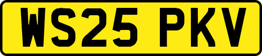 WS25PKV