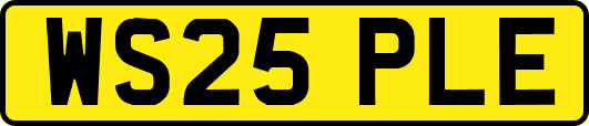 WS25PLE