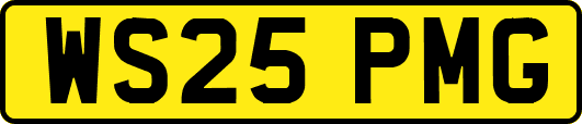 WS25PMG