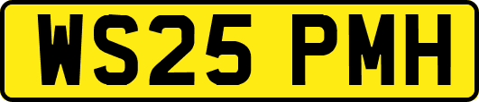 WS25PMH