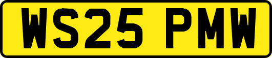 WS25PMW