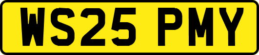 WS25PMY