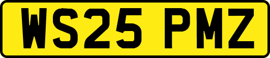 WS25PMZ