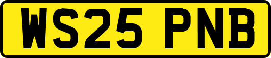 WS25PNB
