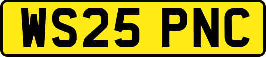 WS25PNC