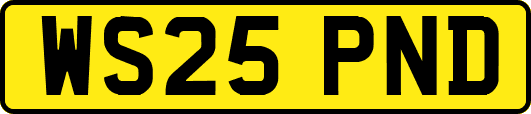 WS25PND
