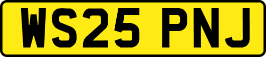 WS25PNJ