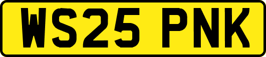 WS25PNK