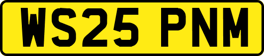 WS25PNM
