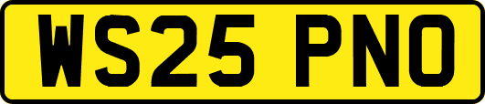 WS25PNO