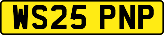 WS25PNP