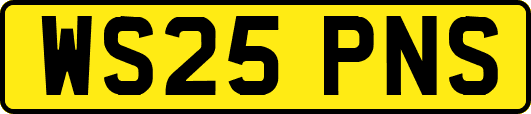 WS25PNS