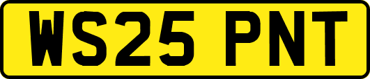 WS25PNT