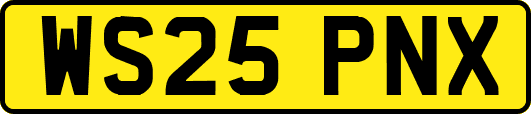 WS25PNX