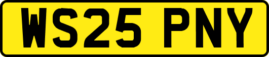WS25PNY