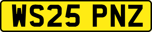 WS25PNZ