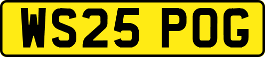 WS25POG